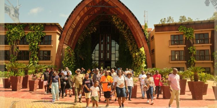 two days one epic adventure joy safari experience 2026 leaves patrons in unforgettable ecstasy