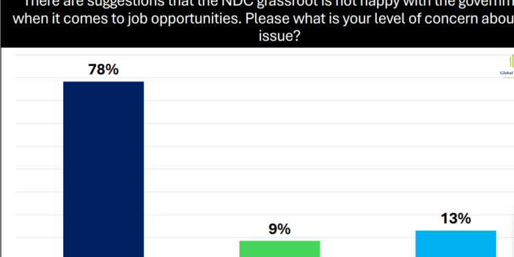 78% of NDC delegates worried about jobs, but majority remain optimistic – Global InfoAnalytics poll 1 78 of ndc delegates worried about jobs but majority remain optimistic global infoanalytics poll