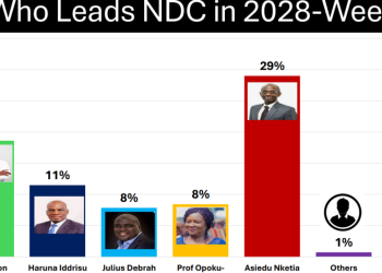 Asiedu Nketia holds lead in NDC race but Ato Forson closing gap fast – Poll