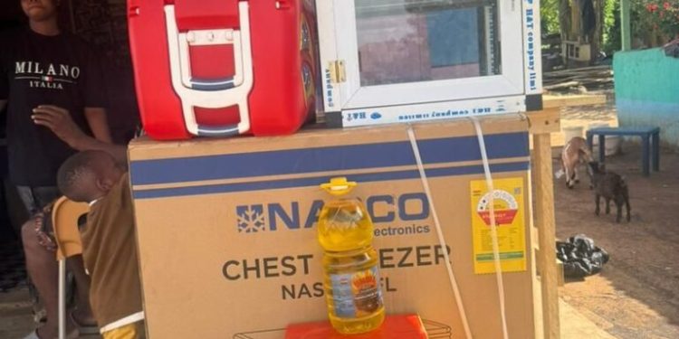 gender ministry supports domestic abuse survivor with livelihood package in akim oda