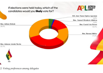NDC 2028 flagbearer race evenly split, no runaway leader — APL survey
