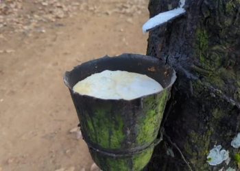 Under-invoicing scandal hits Ghana’s raw rubber exports, over US$700m unaccounted for