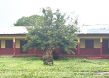 Bats force closure of new school block in Afram Plains