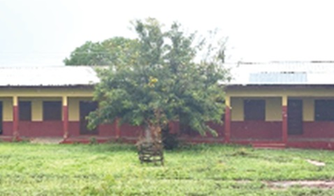 Bats force closure of new school block in Afram Plains 1 bats force closure of new school block in afram plains