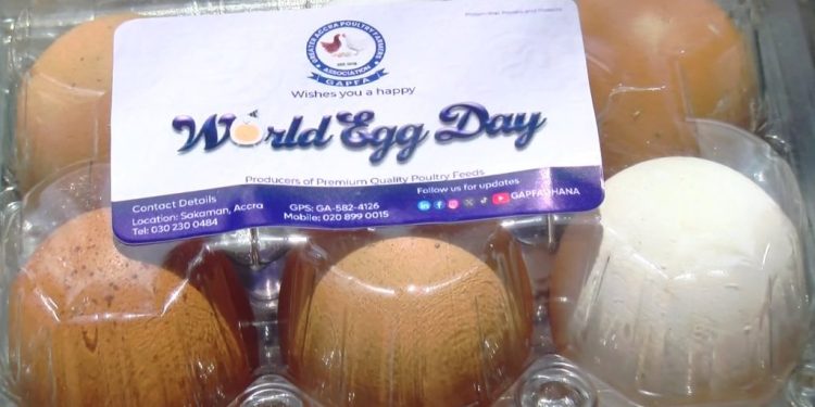 Poultry products to witness 15% rise in prices ahead of Christmas – farmers warn 1 poultry products to witness 15 rise in prices ahead of christmas farmers warn